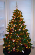 christmas-tree 48 list